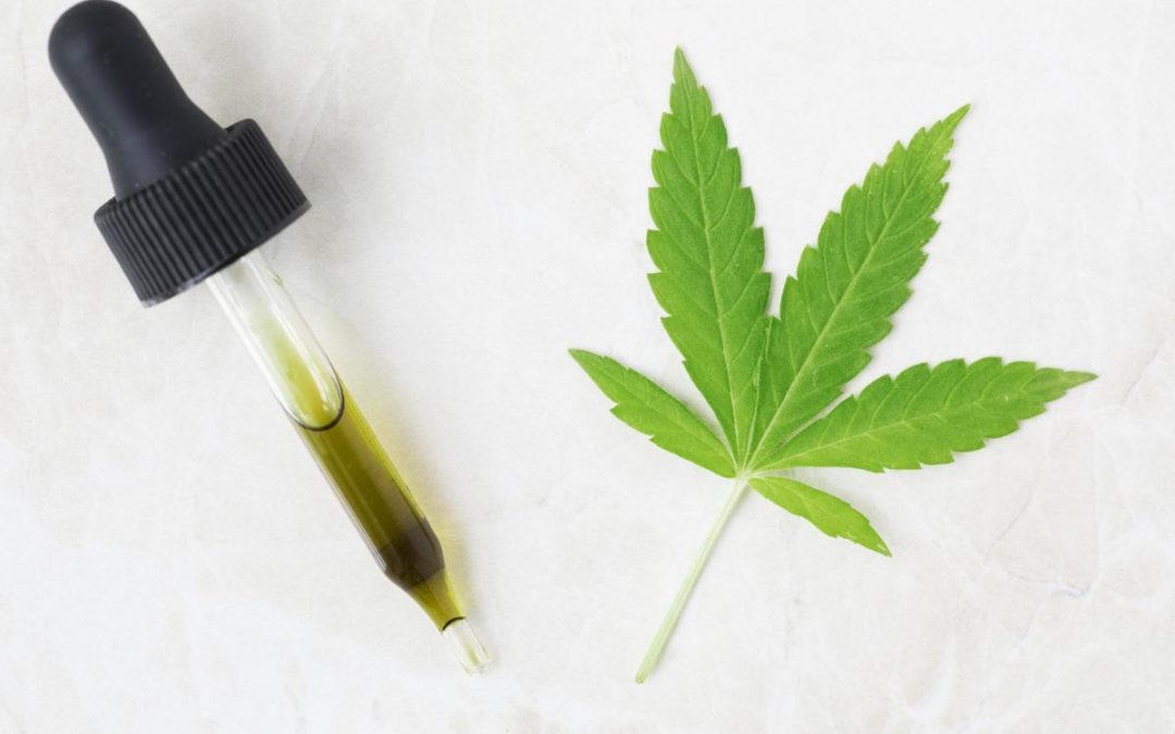 Grow Your CBD Brand and Drive Sales With SEO